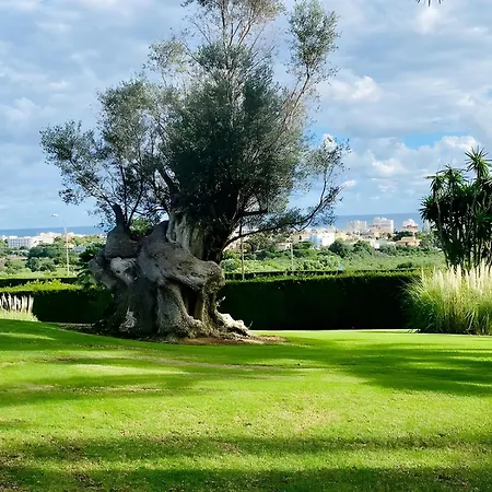 Villas2meet Na Penyal 7 Holiday home